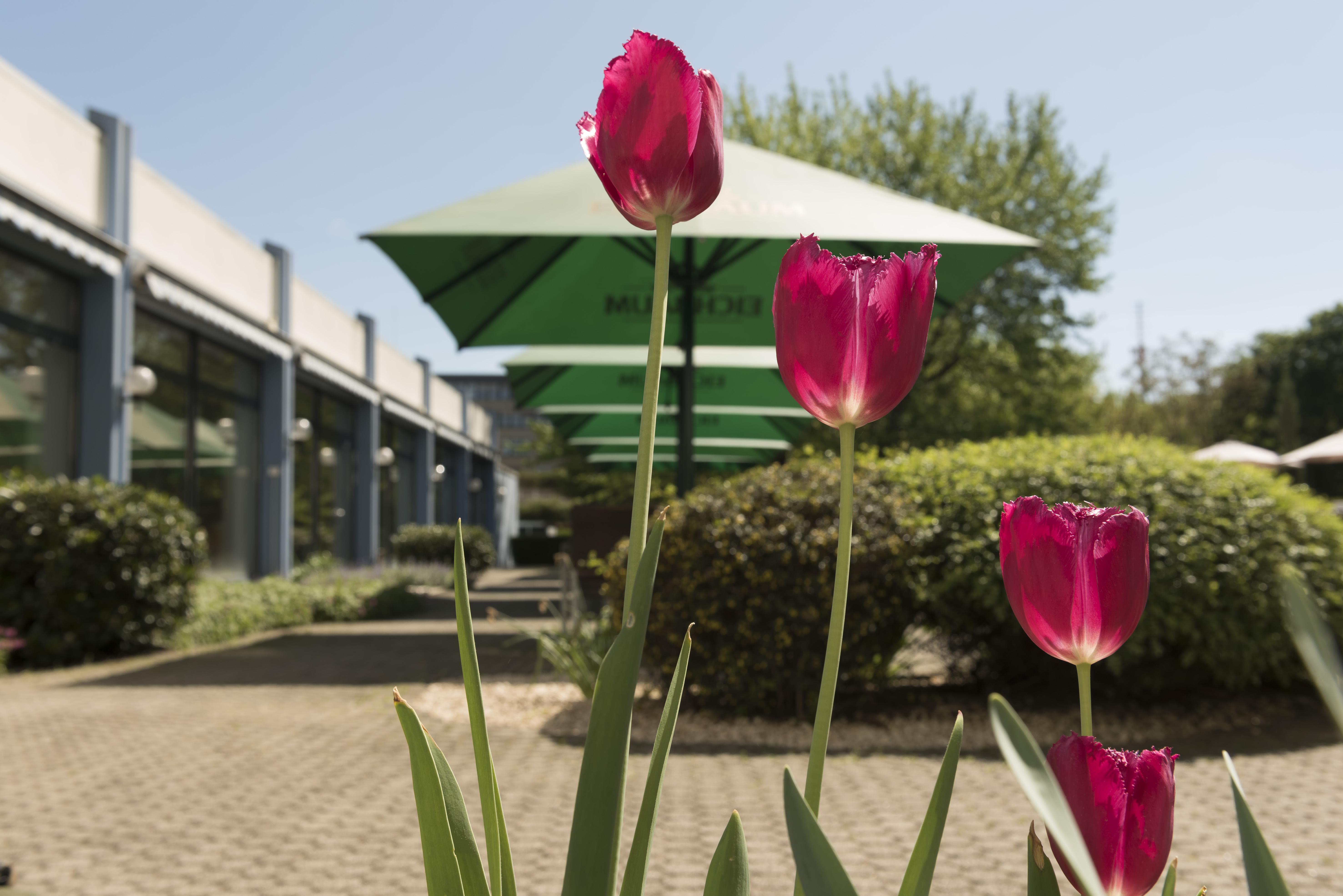 Mercure Hotel Mannheim Am Friedensplatz Kültér fotó